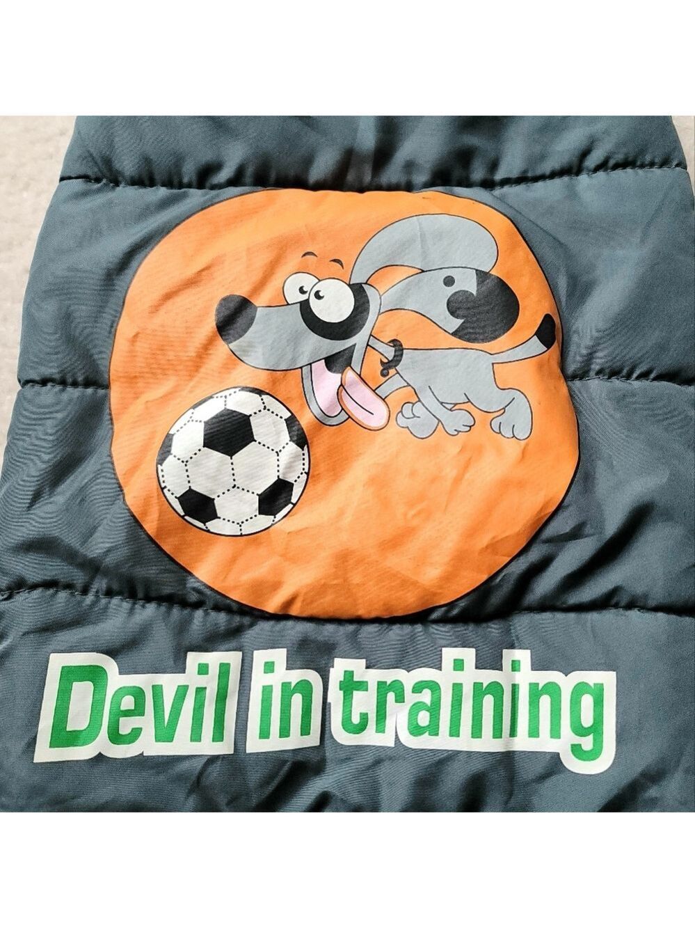 Lightweight Warm Coat Jacket for Dogs